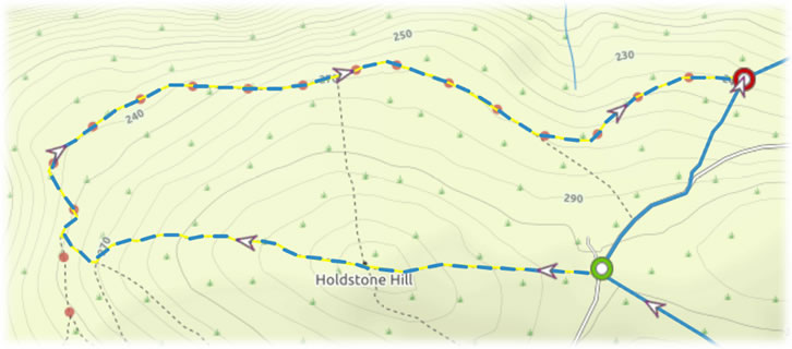 Newly plotted detour